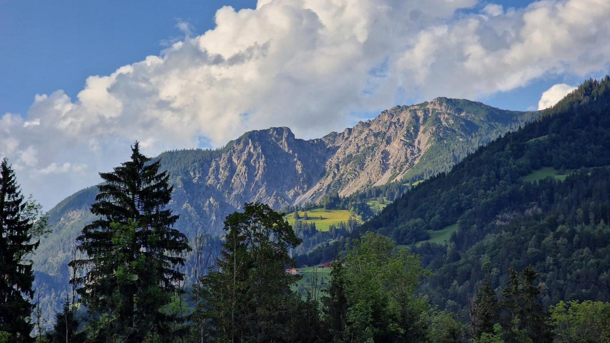 Homy Montavista - 300M Zur Golmerbahn Vandans Exterior foto